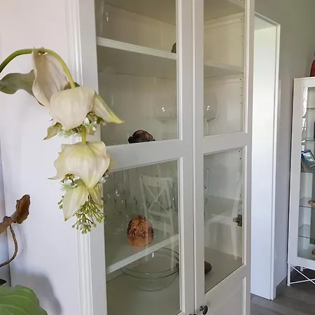 Apartment Meer36 App36